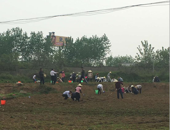 yl6809永利(中国游)官方网站