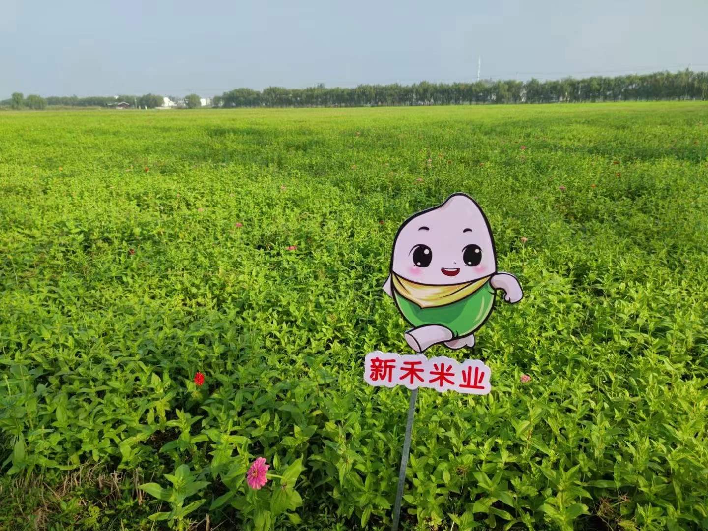 yl6809永利(中国游)官方网站